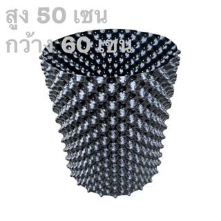 วงล้อมต้นไม้ สูง 50 เซน กระถางแอร์พอร์ต กระถางAirpot ขนาดใหญ่