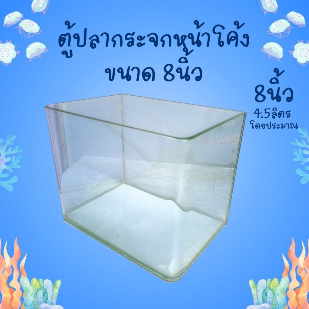 ตู้ปลากระจกหน้าโค้ง ขนาดเล็ก ขนาด 8 นิ้ว 4.5L ตู้ปลา โหลปลา โหลปลากัด ตู้ปลาขนาดเล็ก