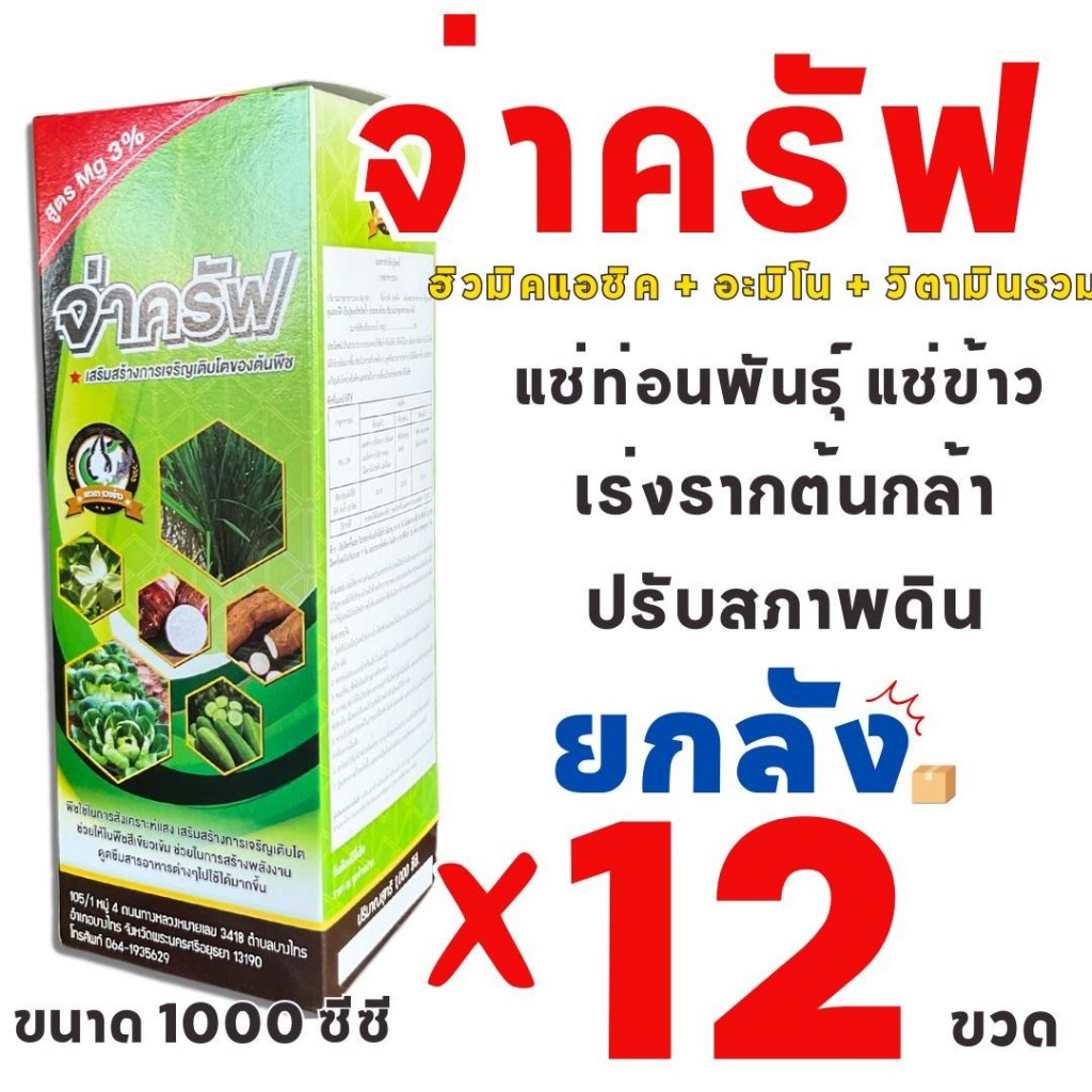 * 1 ลังต่อ 1 คำสั่งซื้อ *  (ยกลัง 12 ขวด) จ่าครัฟ ของแท้ ตราเทวดารวงข้าว 1ลิตร ยาเร่งราก ยาแช่ข้าว ฉีดพร้อมคุมเลน พร้อมค