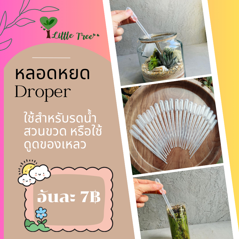 หลอดหยด Droper สำหรับรดน้ำสวนขวด หรือใช้ดูดของเหลว