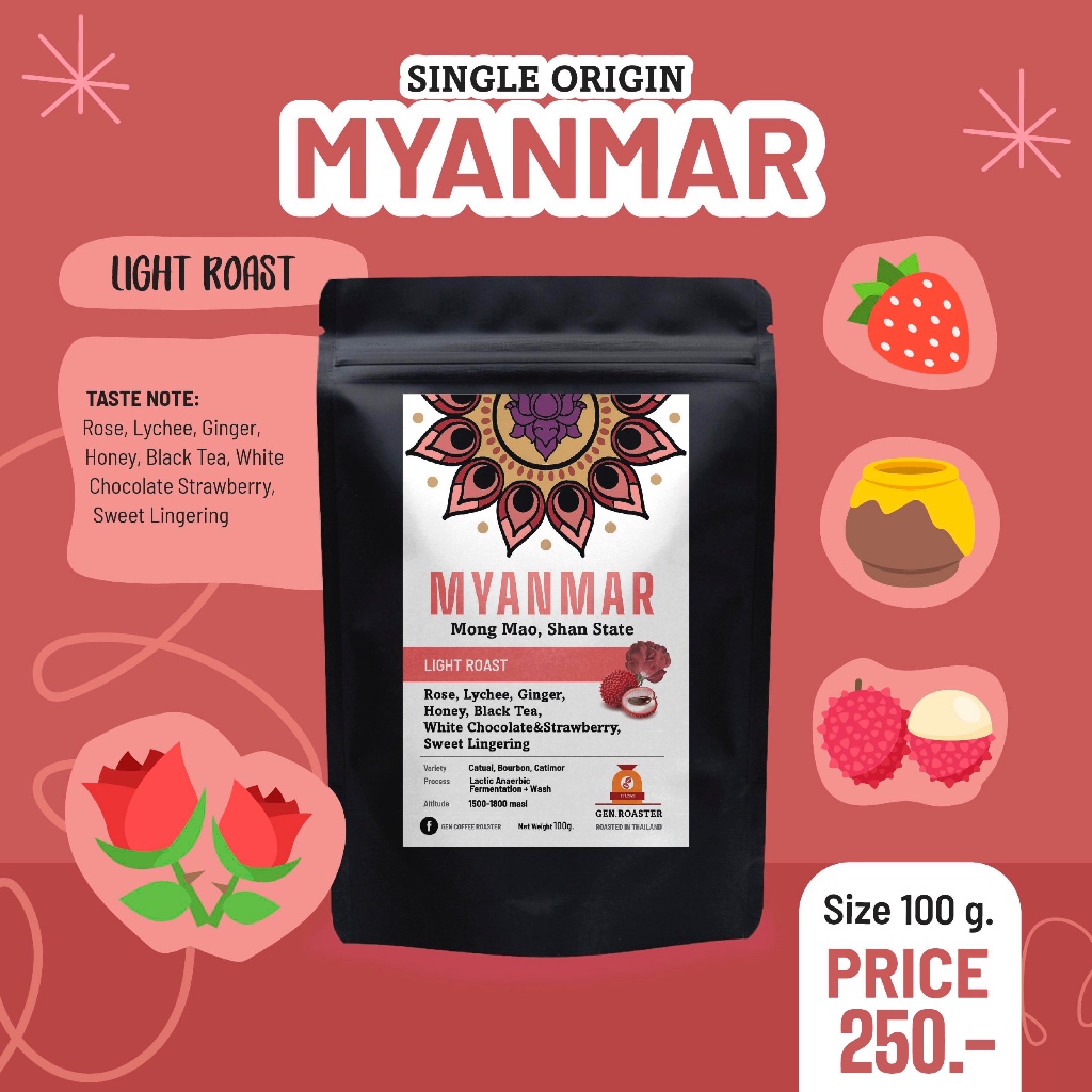เมล็ดกาแฟคั่วอ่อน Myanmar shanstate Pink lot หอม กุหลาบ ลิ้นจี่ 100g Process: Lactic Anaerobic Fermentation+Wash
