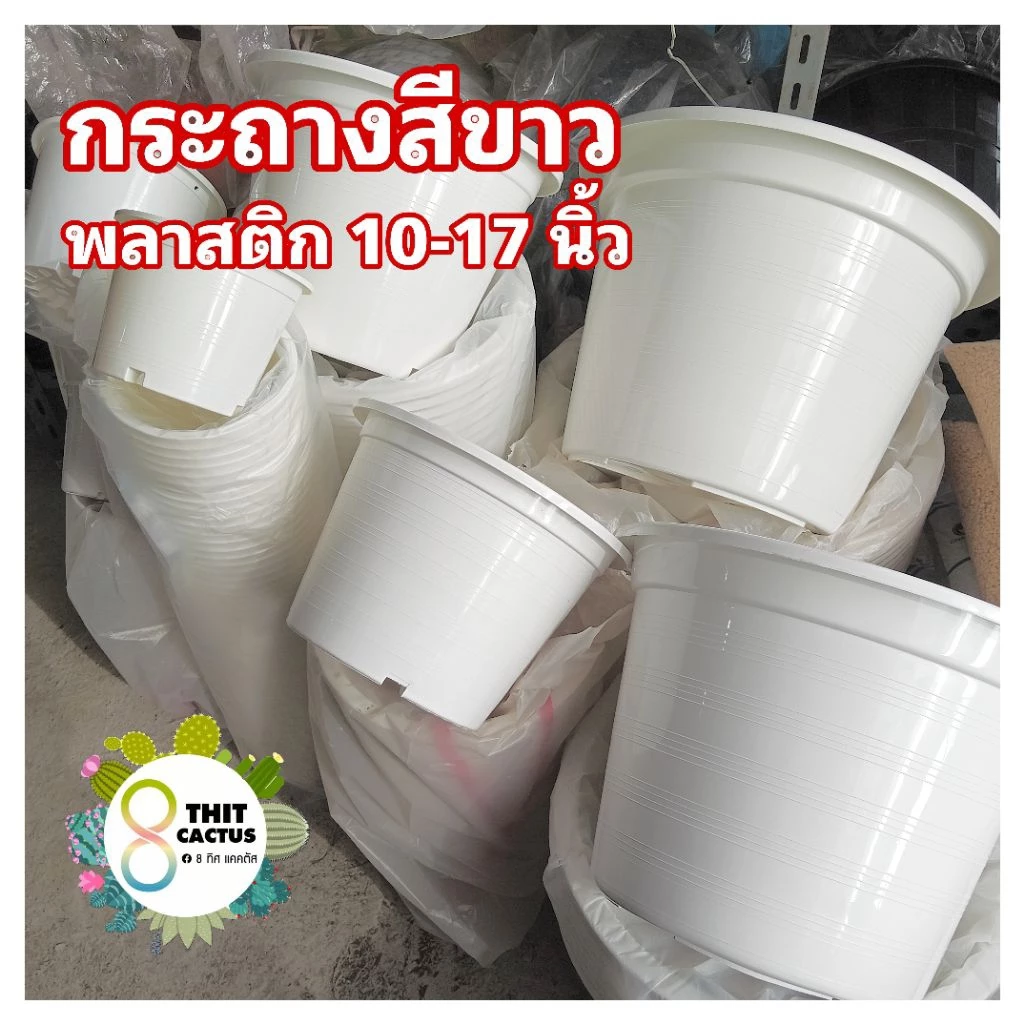 ##++ กระถางกลม 10 12 15 17 นิ้ว//สีขาว ธรรมดา// ต้นไม้ พลาสติก เกษตร พืช 15/17+10