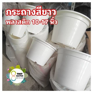 ##++ กระถางกลม 10 12 15 17 นิ้ว//สีขาว ธรรมดา// ต้นไม้ พลาสติก เกษตร พืช 15/17+10