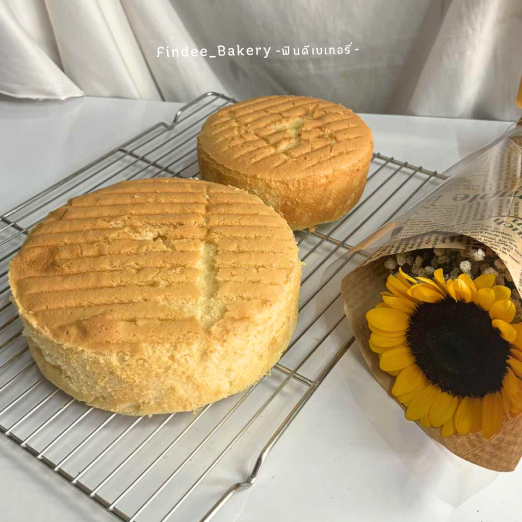 เค้กเปล่า สำหรับตกแต่ง หรือทำเค้ก DIY เค้กวนิลา ช็อกโกแลต