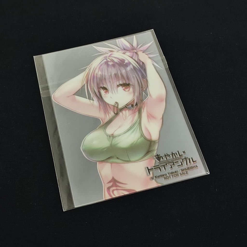 🌋ถูกลิขสิทธิ์🌋ของสะสม เรื่องอลวน คน ปีศาจ (Ayakashi Triangle)