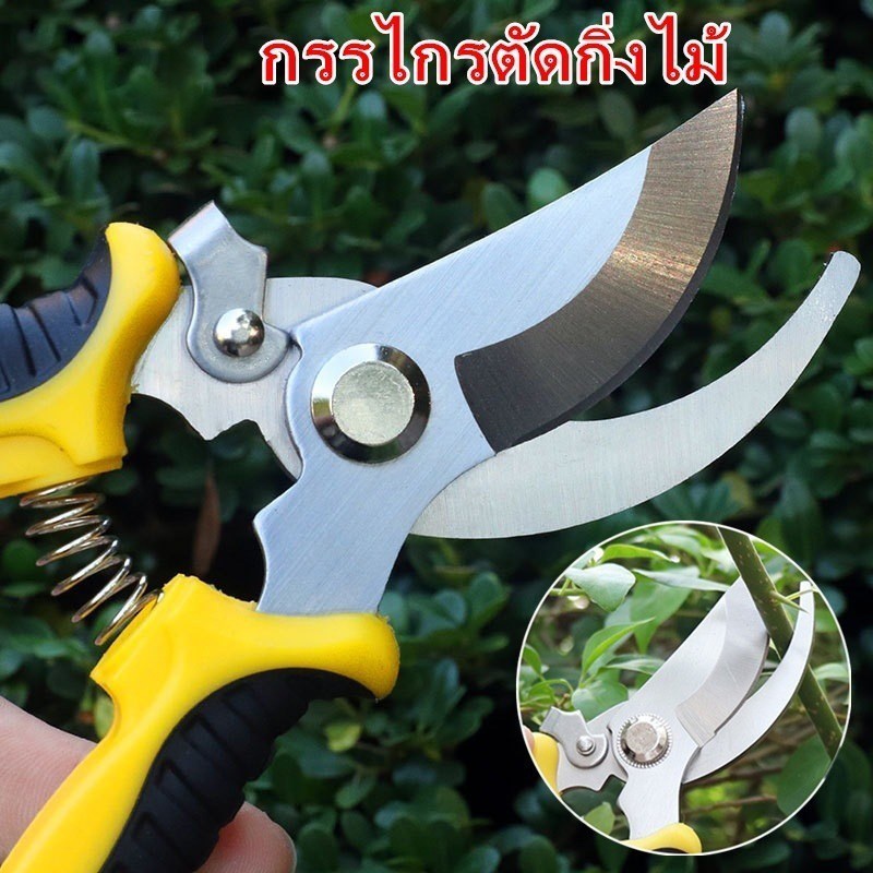 กรรไกรแต่งกิ่ง กรรไกรสแตนเลส กรรไกรสำหรับตัดแต่งกิ่งไม้ ดอกไม้ เครื่องมือจัดทำสวน
