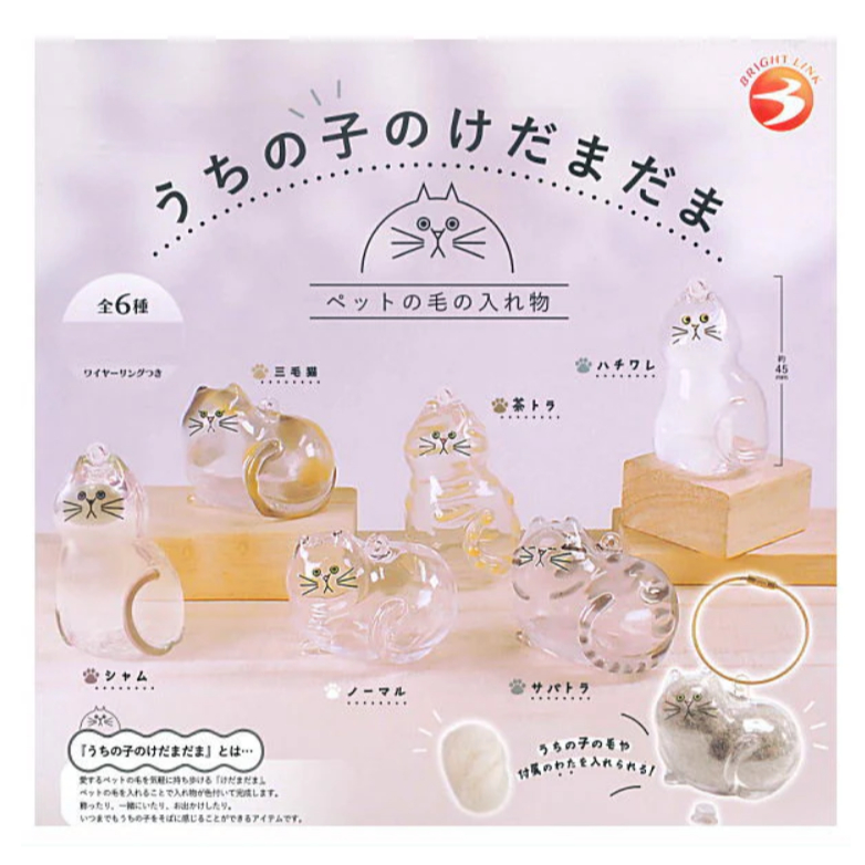 [แบบสุ่ม] จุ่ม กาชาปอง ของที่ระลึก พวงกุญแจ แมว ขนแมว Uchi no Ko no Kedamadama พร้อมส่ง