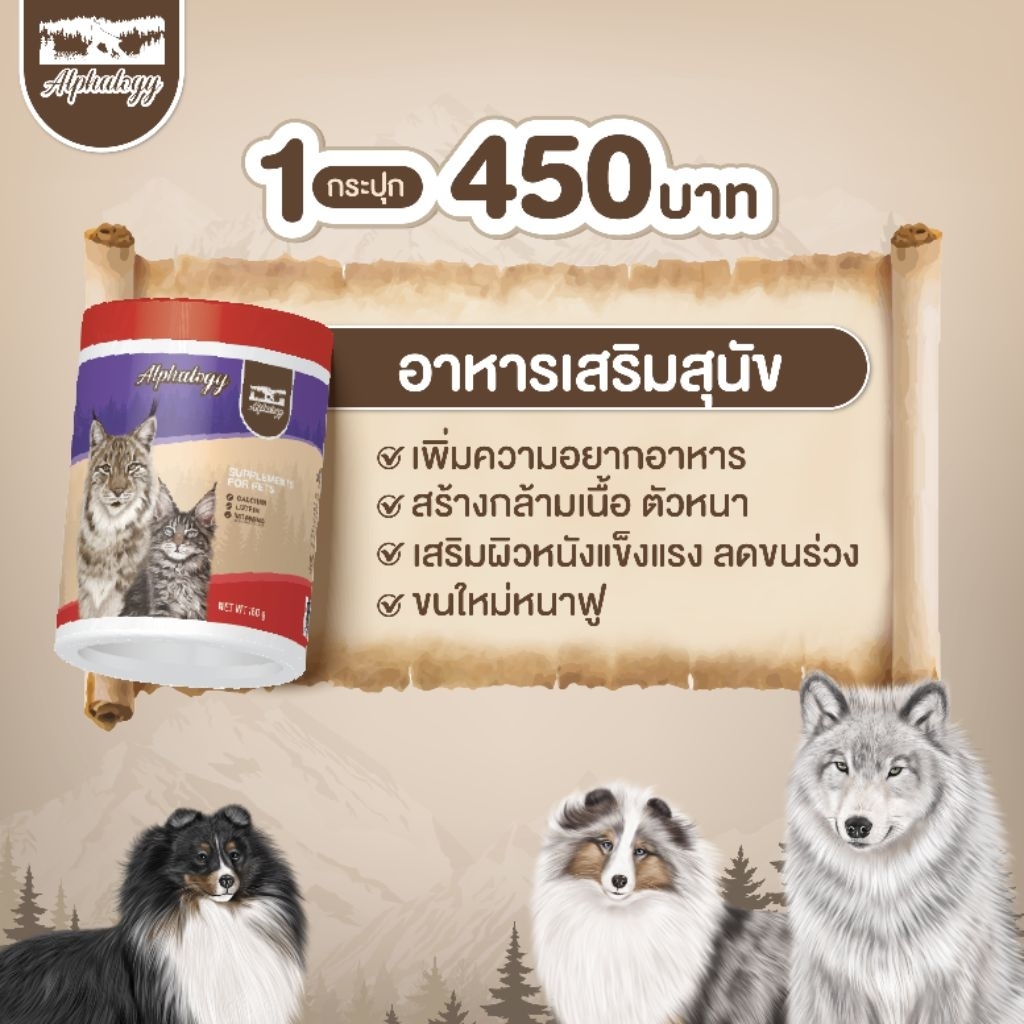 Alphalogy อาหารเสริมสุนัข 1 กระปุก ทำให้เจริญอาหาร ใช้เพิ่มกล้ามเนื้อ ฟื้นฟูผิวหนัง ลดขนร่วง สร้างขนใหม่ฟูหนา