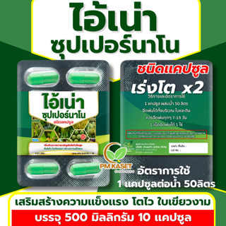 ไอ้เน่าแคปซูล อนุภาคเล็กดูดซึมไว เร่งโต ต้นเเข็งเเรง ใบเขียว…