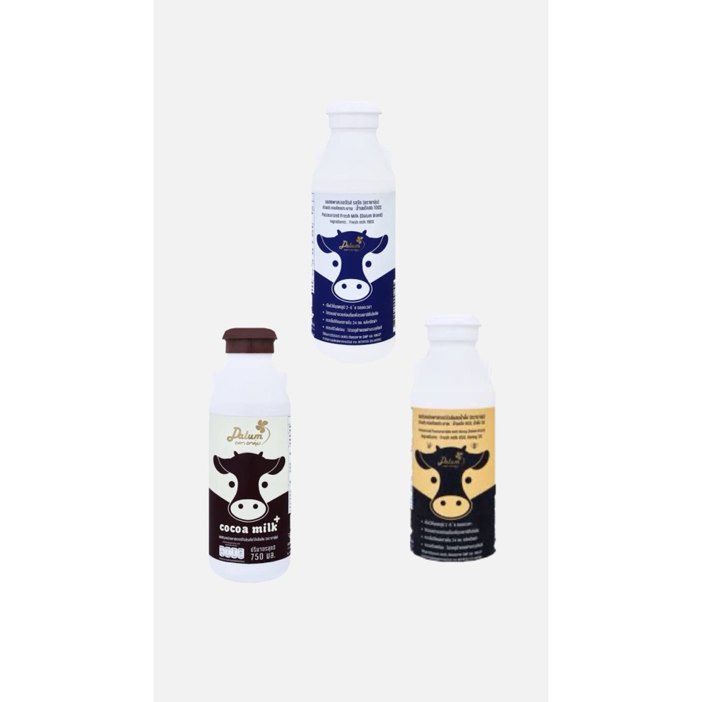 Dalum ดาลุ่มนมพาสเจอร์ไรส์ มี2ไซต์ 3รสชาติ