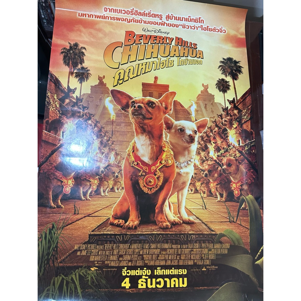 โปสเตอร์ Beverly hill’s Chihuahua 1 คุณหมาไฮโซโกบ้านนอก ภาค1