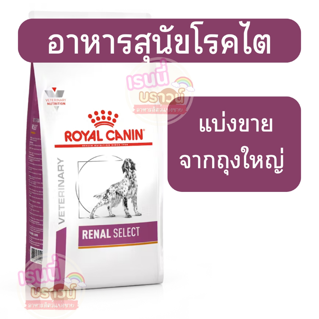 ส่งด่วนมาก+ผ่อนได้⚡️[[สุนัขใหญ่โรคไต]] [[แบ่งขาย]] Royal Canin Renal Select อาหารเม็ดสุนัข รักษาโรคไต