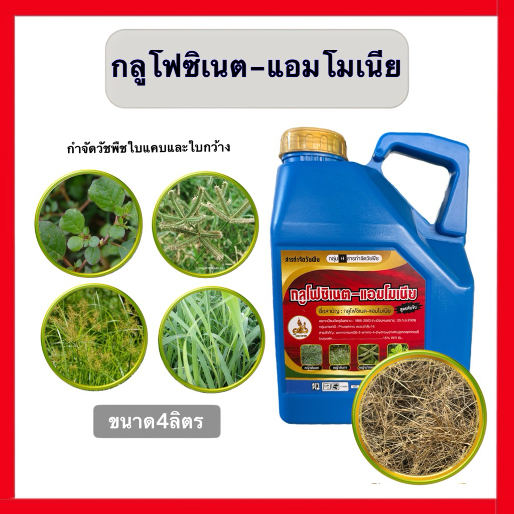 กลูโฟซิเนต สูตรเผาไหม้ทรงพลัง 4 ลิตร 1 แกลลอน N