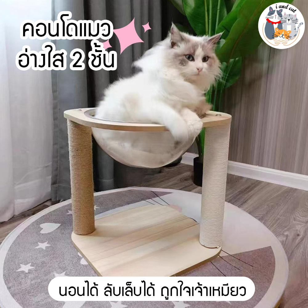 [พร้อมส่ง]🐱 คอนโดแมว ที่นอนแมว 2 ชั้น หลุมแมว แคปซูลใส เตียงแมว เสาลับเล็บแมว แข็งแรง ไม่ล้ม
