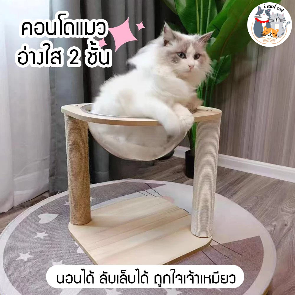 [พร้อมส่ง]🐱 คอนโดแมว ที่นอนแมว 2 ชั้น หลุมแมว แคปซูลใส เตียงแมว เสาลับเล็บแมว แข็งแรง ไม่ล้ม