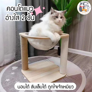 [พร้อมส่ง]🐱 คอนโดแมว ที่นอนแมว 2 ชั้น หลุมแมว แคปซูลใส เตียงแมว เสาลับเล็บแมว แข็งแรง ไม่ล้ม