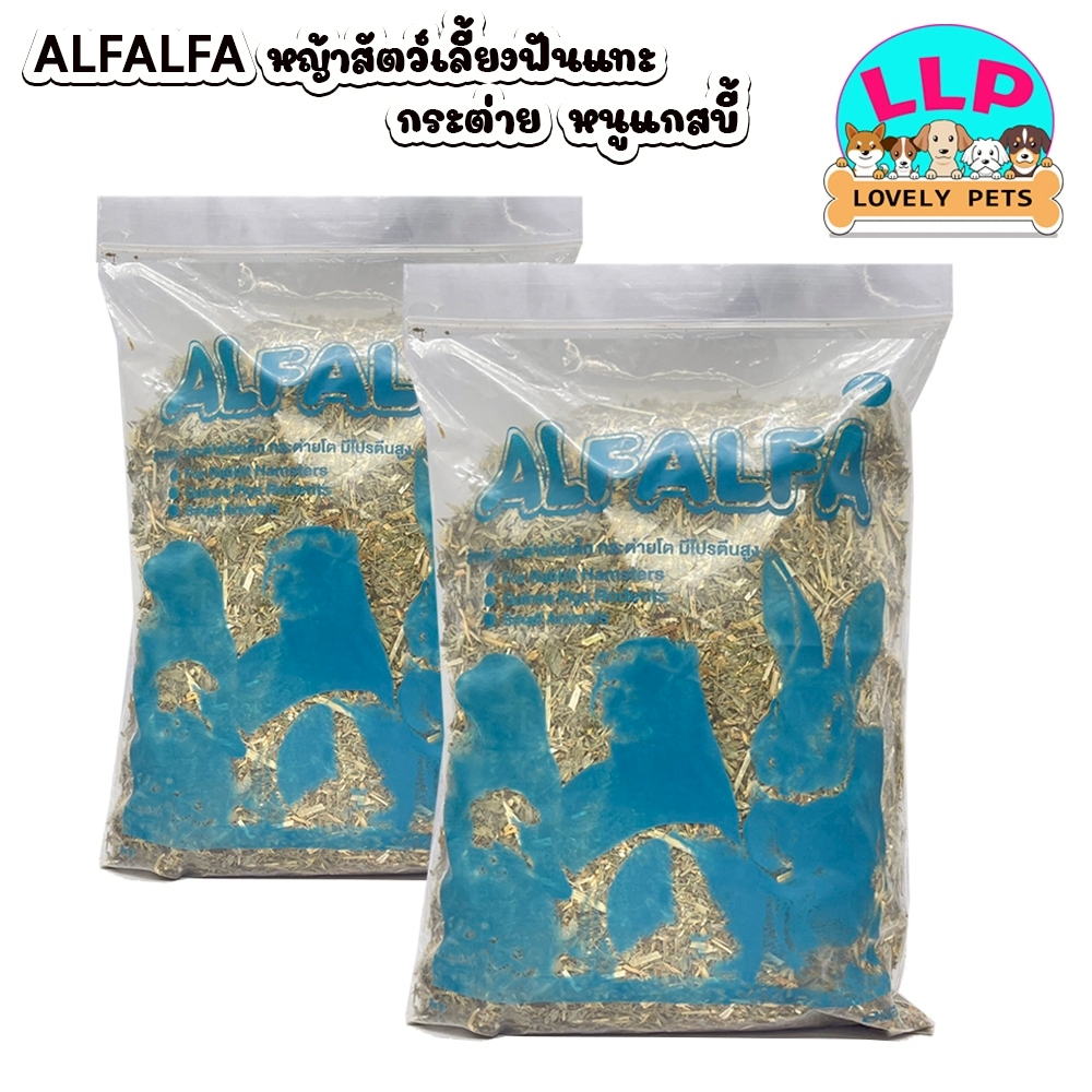 หญ้าอัลฟาฟ่าเส้น อัลฟาฟ่าก้านใบ หญ้าอัลฟาฟ่า ร่อนฝุ่น หญ้าแห้งกระต่ายสัตว์ฟันเเทะ หอมๆ