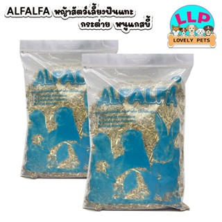หญ้าอัลฟาฟ่าเส้น อัลฟาฟ่าก้านใบ หญ้าอัลฟาฟ่า ร่อนฝุ่น หญ้าแห…
