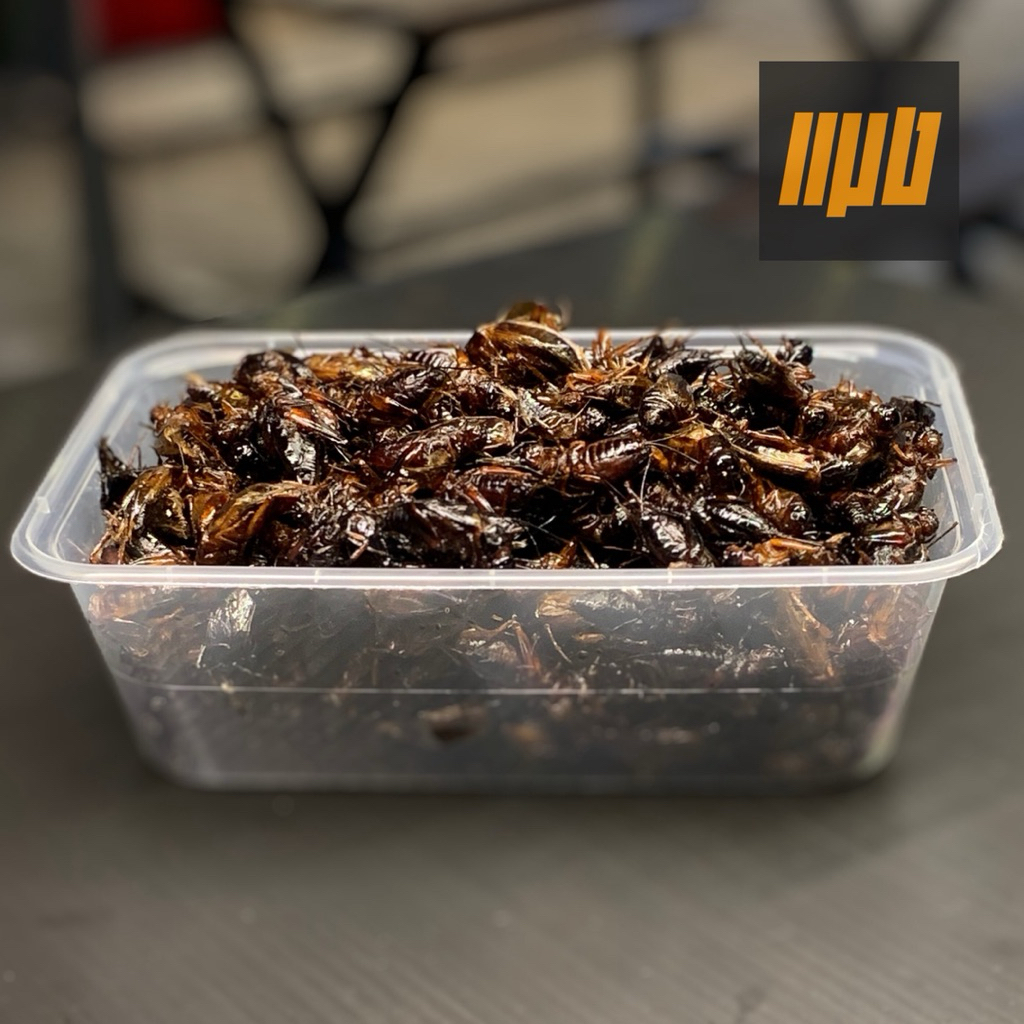 จิ้งหรีดไข่ทอด ทอดตามออเดอร์ พร้อมทาน