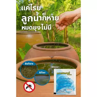 ทรายกำจัดลูกน้ำ กำจัดลูกน้ำยุงลาย ทรายอะเบท ขนาด 50 กรัม/ซอง (แพ๊ค 5 ซอง)AT