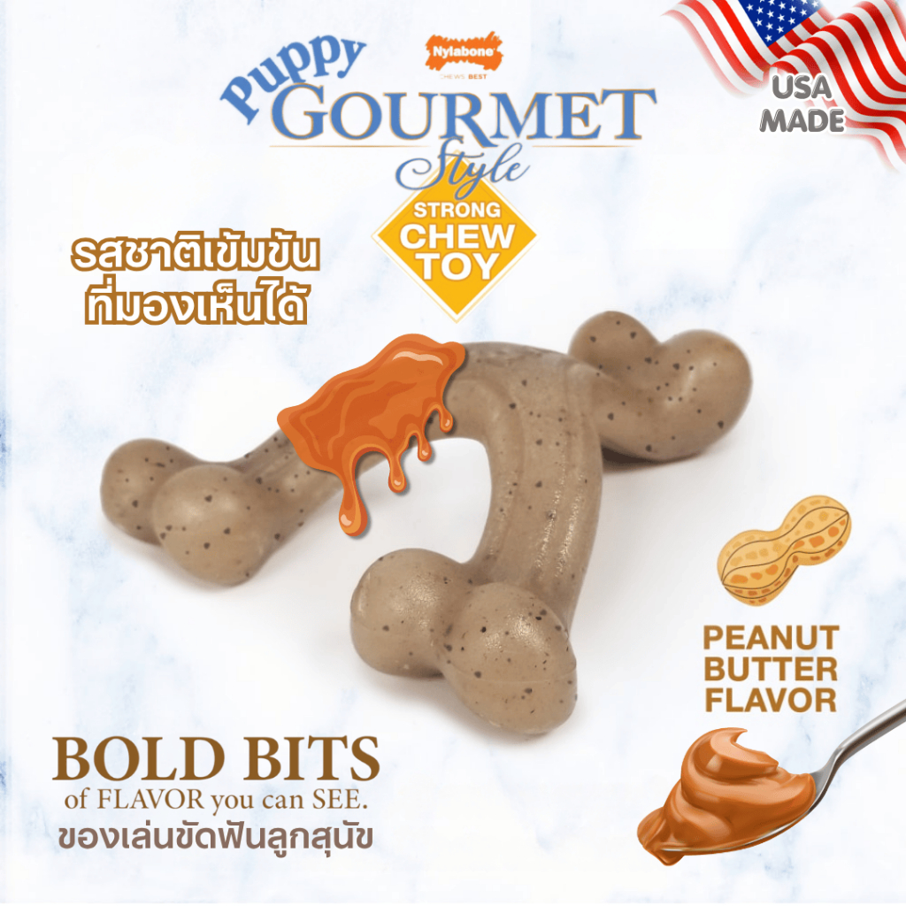 Nylabone Gourmet Style Strong Wishbone Puppy Chew Toy - Peanut Butter Flavor Dog Toy