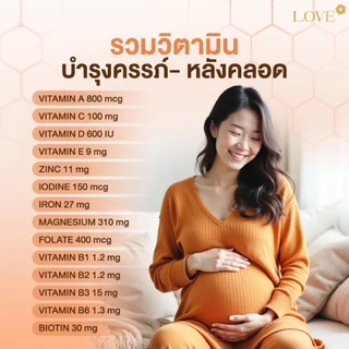 ( รูปแบบซองซิป ) Love Plant Based Protein เลิฟ โปรตีนพืช สูตรแพทย์ รสชาไทย (Thai Tea) สูตรรวมวิตามิน บำรุงครรภ์-หลังคลอด