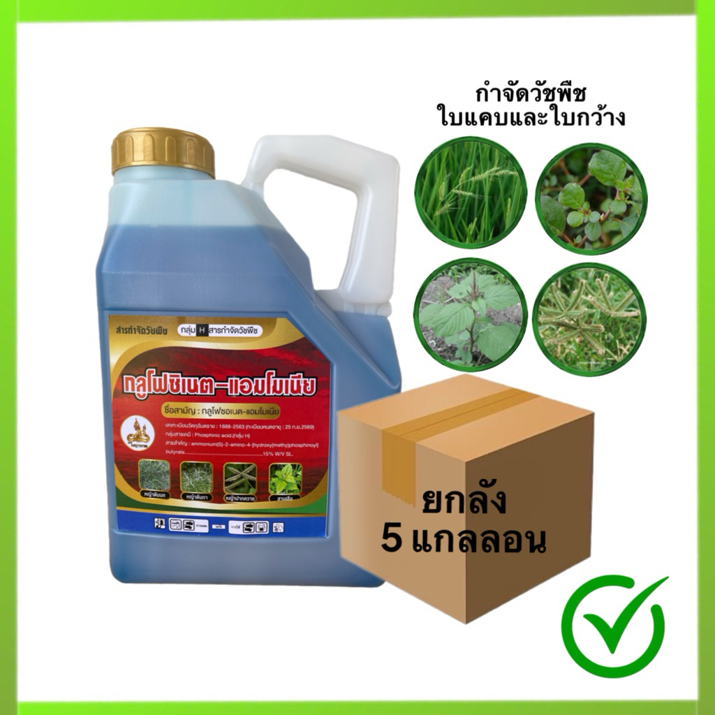 📦ยกลัง กลูโฟซิเนต สูตรใหม่เผาไหม้x2 4.0ลิตร 5แกลลอน(P)