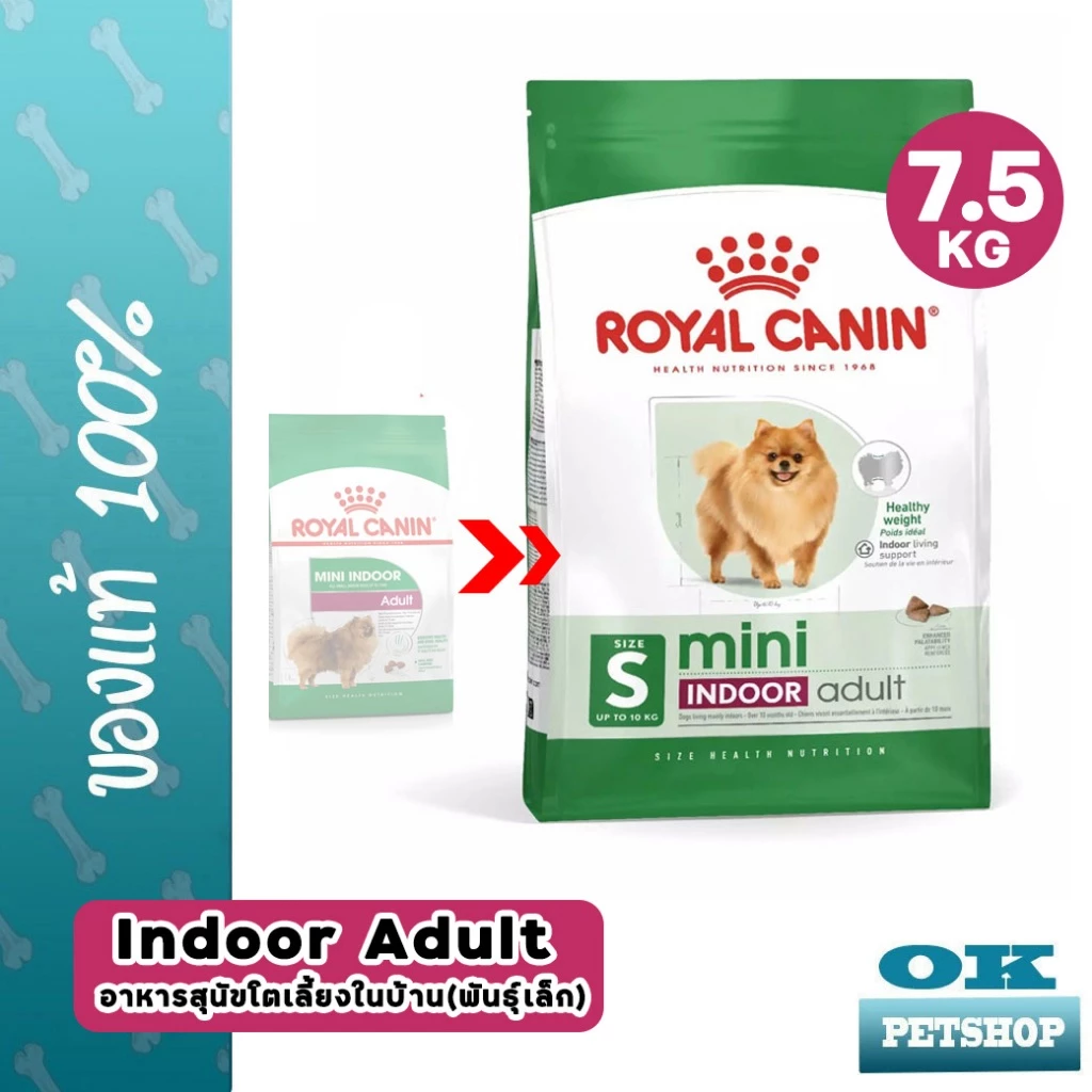 [EXP9/2027] ROYAL CANIN MINI INDOOR ADULT 7.5KG สุนัขโตพันธุ์เล็กเลี้ยงในบ้าน