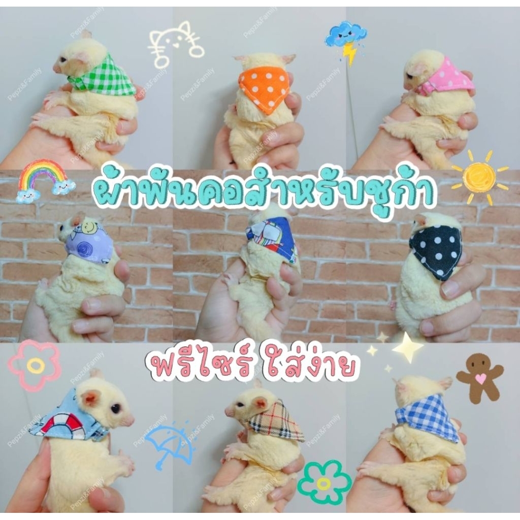 ผ้าพันคอสำหรับชูก้าไกรเดอร์