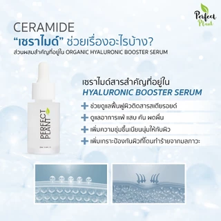 DR.NAME X Perfect Plant 8D HYA+Ceramide Moisturizer ไฮยา มอยส์เจอไรเซอร์ ผิวชุ่มชื้น บำรุงผิว 20 ML