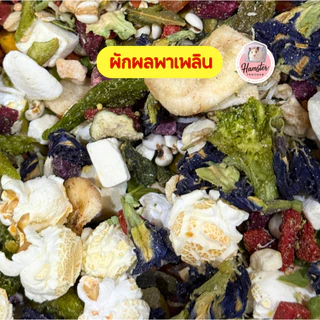 Hamsterthailand อาหารผสม อาหารแฮมสเตอร์ โปรตีน ดอกไม้ ผัก ผลไม้ ขนมแฮมสเตอร์ อาหารแฮมสเตอร์