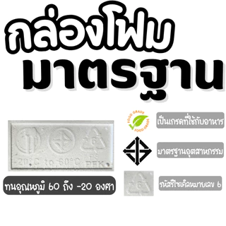 กล่องโฟมปลูกผักรุ่นหนา กล่องปลูกผัก (*หนาพิเศษ*) กล่องโฟม พร้อมเจาะรูฟรี 6 8 15 ช่อง