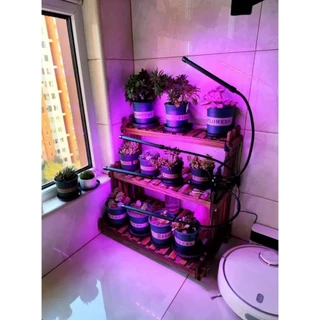 🌞ไฟปลูกต้นไม้ USB LED แบบขาหนีบ สำหรับปลูกต้นไม้ในที่ร่มไร้เเดด กินไฟน้อย เปิด-ปิดอัตโนมัติ ประกัน 1 เดือนค่ะ