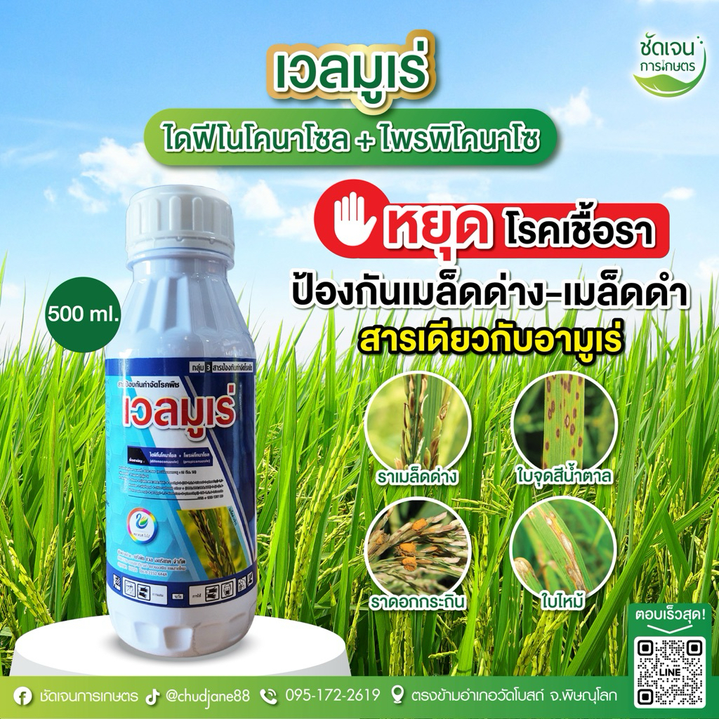 เวลมูเร่ (ขนาด 500 ml) 7-10ไร่ เชื้อราในนาข้าว ไดฟีโรโคลนาโซล+โพรพิโคลนาโซล ตัวเดียวกับอามูเร่ ร้านชัดเจนการเกษตร