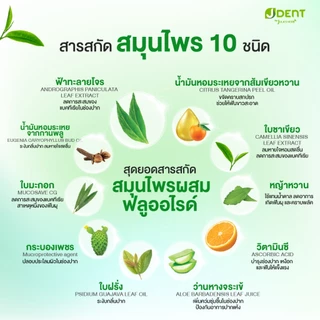[เซต 4 แถม 1] ใหม่ ยาสีฟันเจเด้นท์สีเขียว 4 หลอด จุฬาเฮิร์บ (แถมฟรียาสีฟันสีเขียว 1 หลอด)