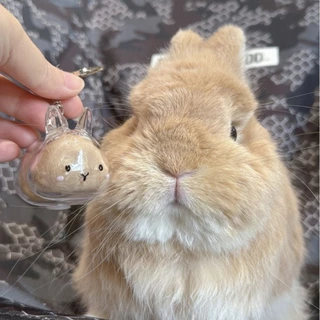 🐰แคปซูลเก็บขนสัตว์เลี้ยง🐰 พวงกุญแจสัตว์เลี้ยง กระต่าย/หนูแฮม/แมว/สุนัข(ส่งจากไทย🇹🇭)