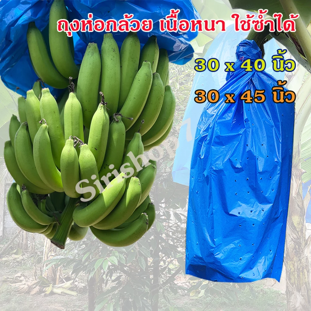 แพคละ 10 ใบ ถุงห่อกล้วย เกรด A ขนาด 30x40 นิ้ว และ 30x45 นิ้ว ถุงห่อกล้วยหอม ถุงคลุมกล้วย