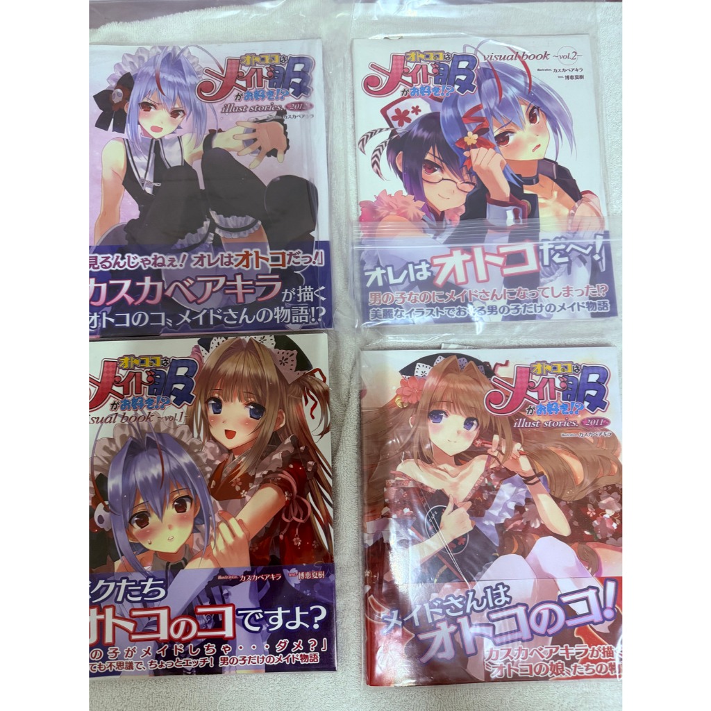 Otokonoko wa Maid-fuku ga osuki Visual book set
