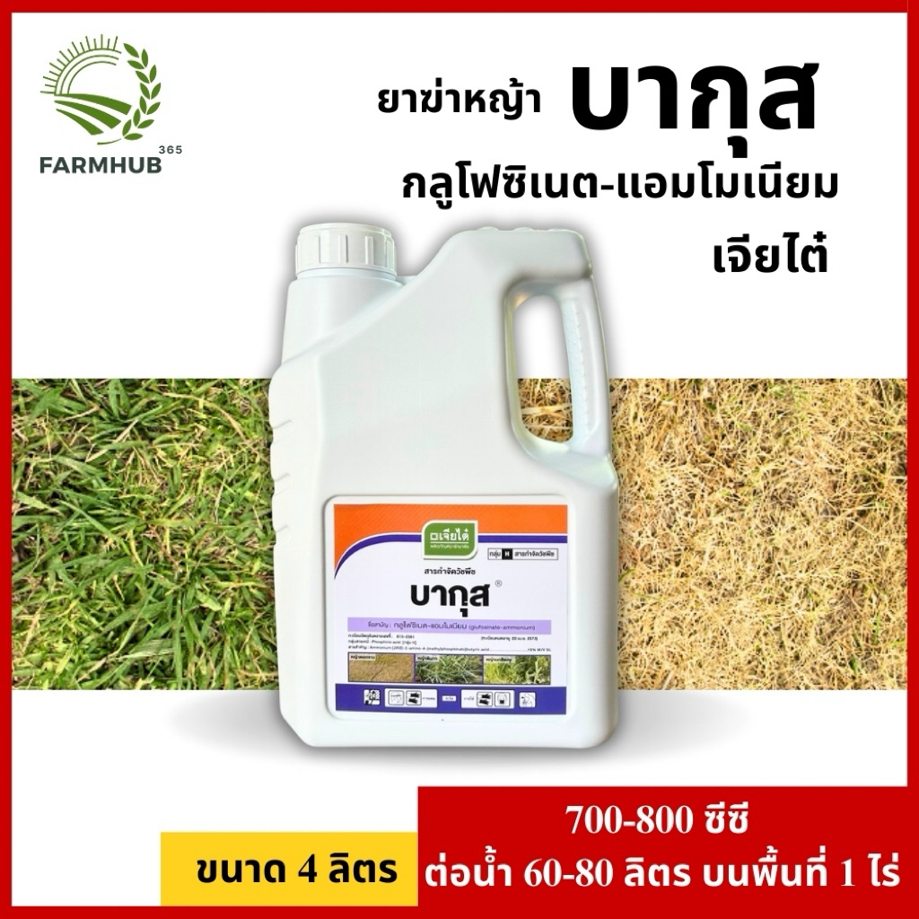 บากุส สารกำจัดวัชพืช กลูโฟซิเนต ตราเจียไต๋ ขนาด 4 ลิตร