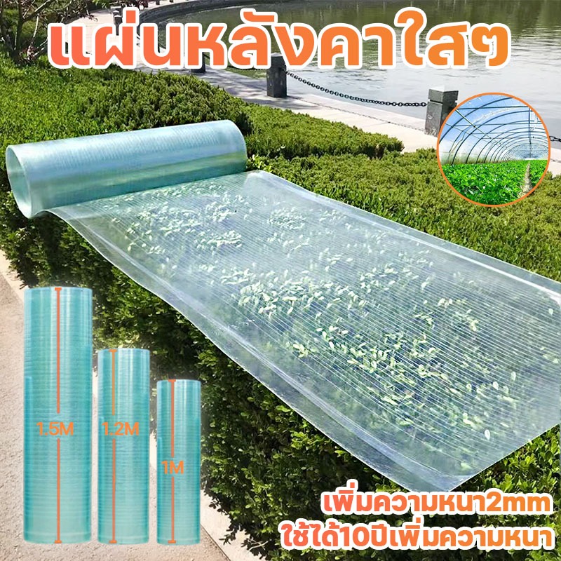 หลังคาใส แผ่นหลังคา กระเบื้องหลังคา แผ่นหลังคาใสๆ โปร่งแสง กระเบื้องหลังคา บ้านครอบคลุมพลาสติก