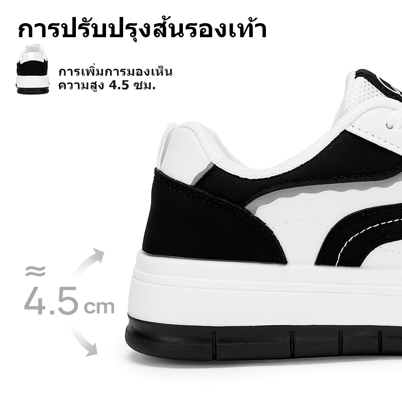 รูปภาพ 8