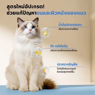 Bite Of Wild แซลมอน อาหารแมว 500g. Grain free โปรตีนสัตว์ 90% น้ำมันแซลมอน บำรุงขนและผิวหนัง