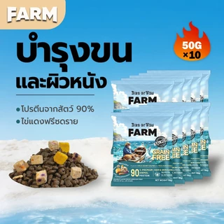 Bite Of Wild แซลมอน อาหารแมว 500g. Grain free โปรตีนสัตว์ 90% น้ำมันแซลมอน บำรุงขนและผิวหนัง