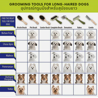 🇺🇸นำเข้าจาก USA🇺🇸 Safari by Coastal Pin and Bristle Combo Dog Brush แปลงขนสุนัข 2 ด้าน