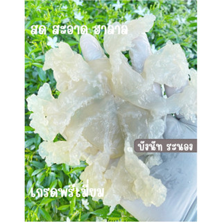 แมงกะพรุน ขาล้วน จืด-เค็ม ขายดี เกรดA