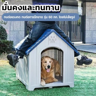 บ้านสุนัขขนาดใหญ่นอกบ้าน คอกสุนัขขนาดใหญ่ บ้านหมา ใหญ่ ขนาด ใหญ่ บ้านสัตว์ ขนาดใหญ่ บ้านสุนัขขนาดกลาง คอกหมา