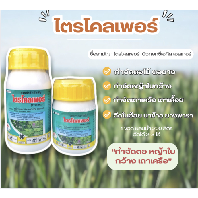 ไตรโคลเพอร์ ตราสมาร์ทฟาร์ม กำจัดวัชพืชใบกว้าง เถาเครือ