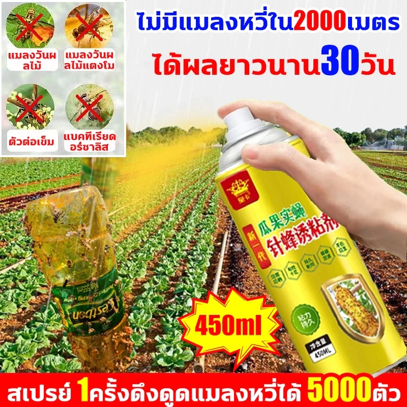 🐝 ใช้ 1 ครั้งดักฆ่าแมลงหวี่ได้ 100000 ตัว🐝 กาวดักแมลง ดักแมลงหวี่ สารล่อแมลงวันทอง 450ml เมทลยูจินอล ดักแมลงวันทอง