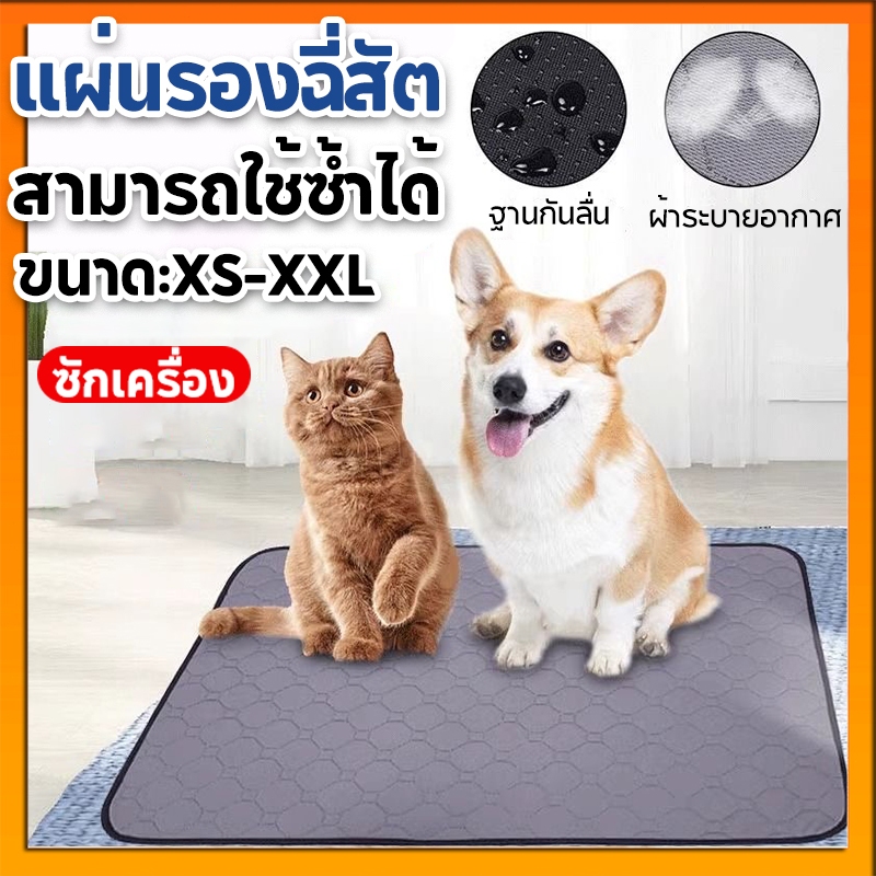 ซักเครื่อง✔แผ่นรองฉี่สัตว์เลี้ยง Pet Pee Pad แผ่นรองฉี่หมา แผ่นฝึกขับถ่าย ซึมซับได้ดี ซักได้ แผ่น สามารถใช้ซ้ำได้