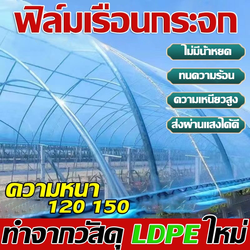 Daily Gold *ใช้ได้ 8ปี* พลาสติกโรงเรือน ฟิล์มเรือนกระจก ฟิล์มเฉพราะเรือนกระจก หน้ากว้าง เมตร หนา 120,150